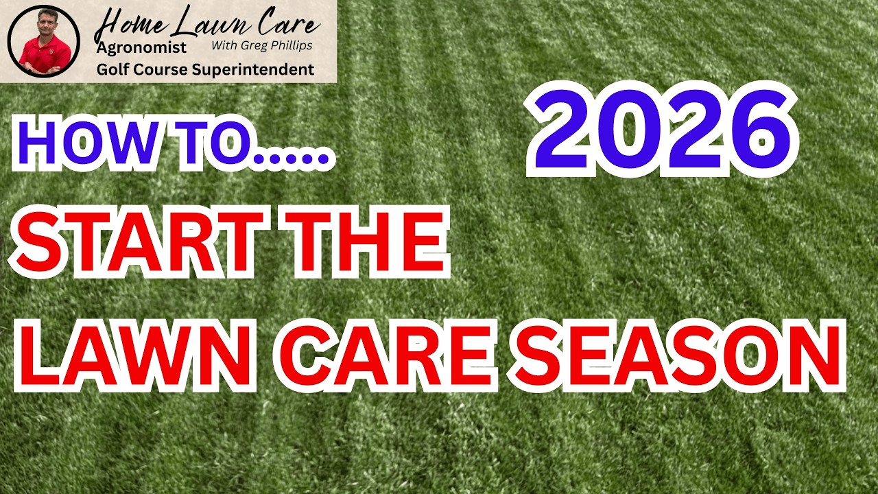 Don't Make These Spring Lawn Mistakes This Year