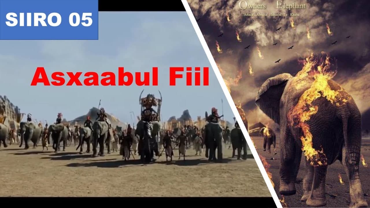 SIIRO 05 | Weerarkii kacbada ee Abraha | Asxaabul Fiil | أصحاب الفيل