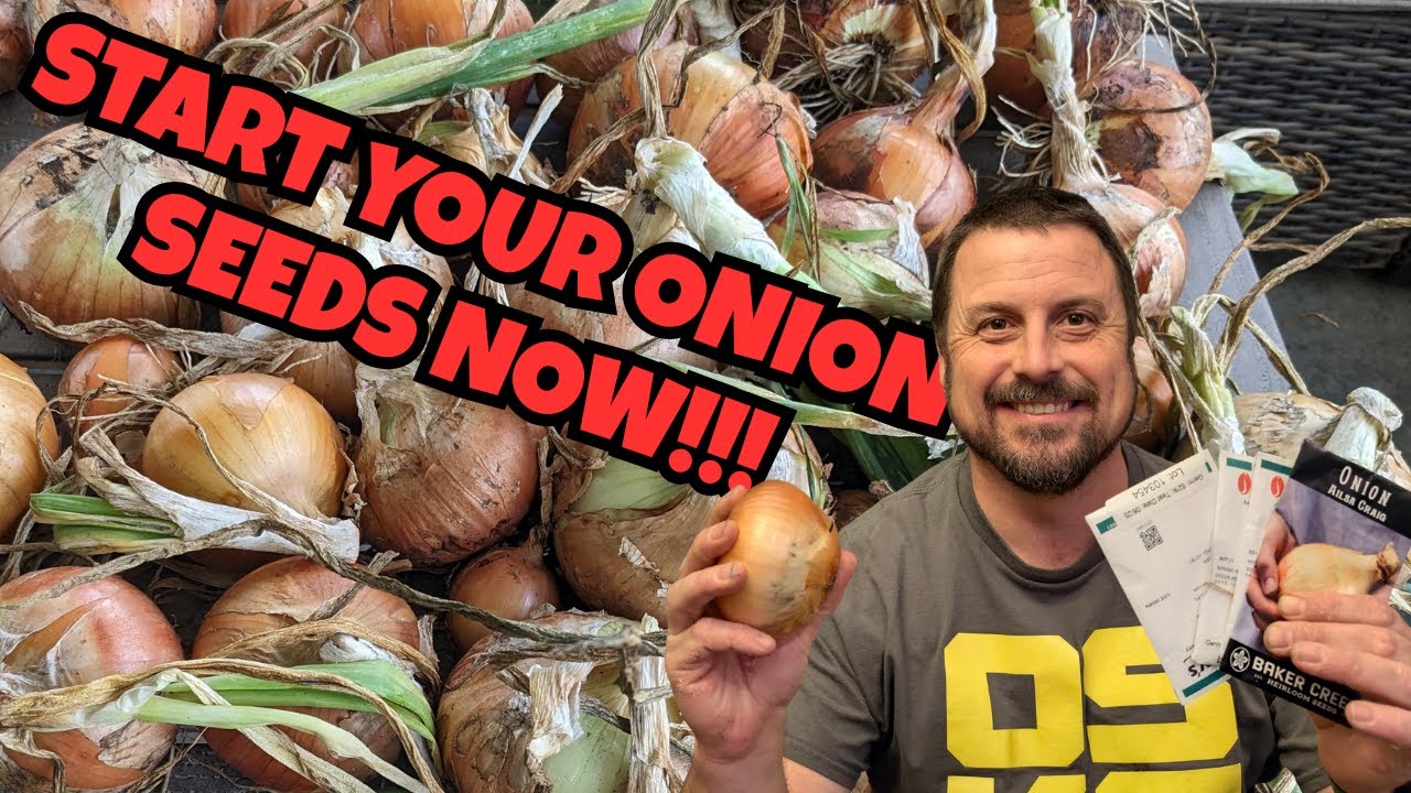 Why I Start Onion Seeds in DECEMBER for HUGE Onions! (My Secret Date)