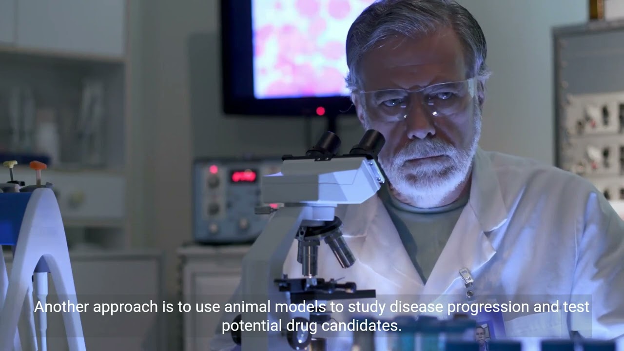 Understanding Target Validation in Drug Development