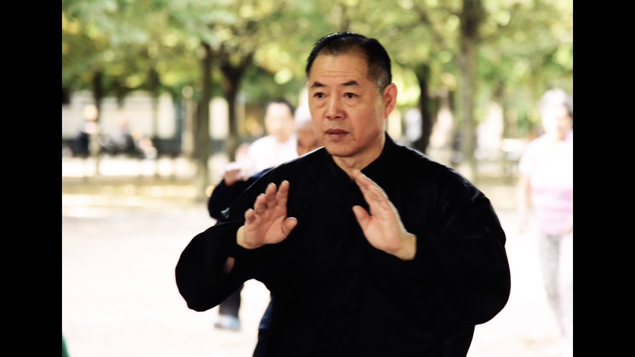 The real Tai Chi Master : Wang Li Kun (9ème dan)