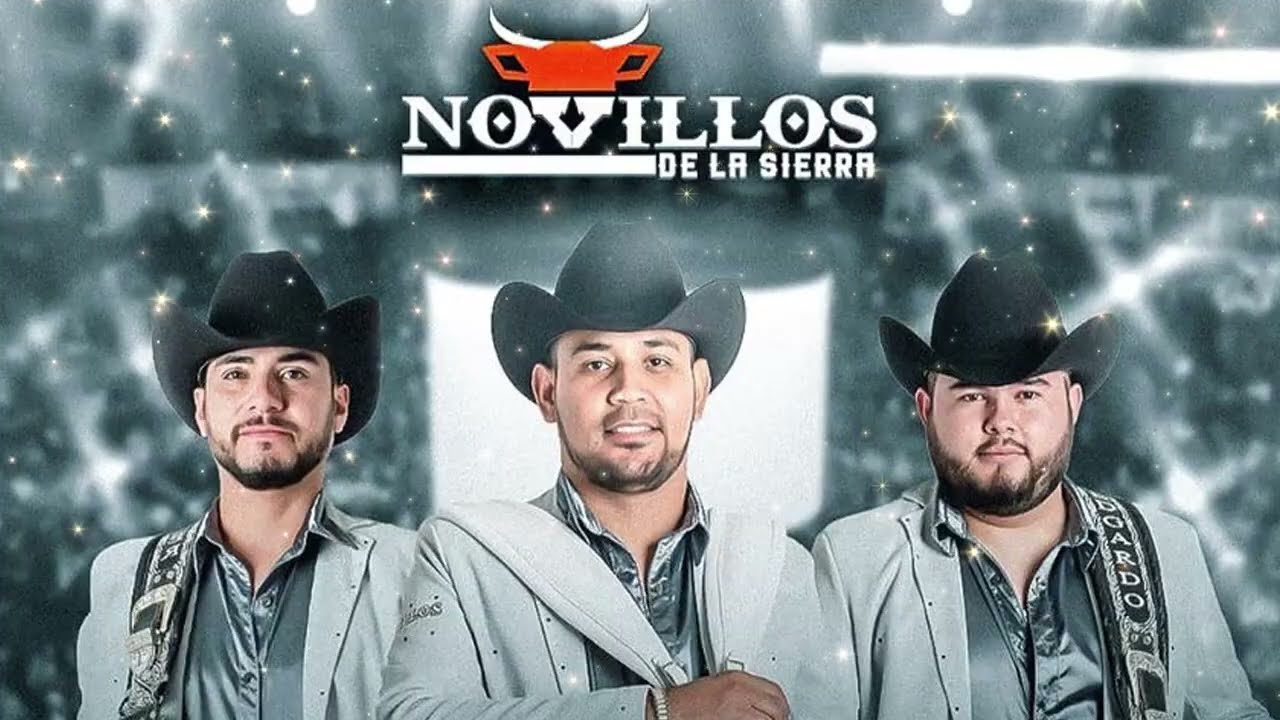 Novillos De La Sierra 💗💗 50 Corridos Exitos MIX 💗💗 Corridos Romanticos || Música de la Sierra 2025