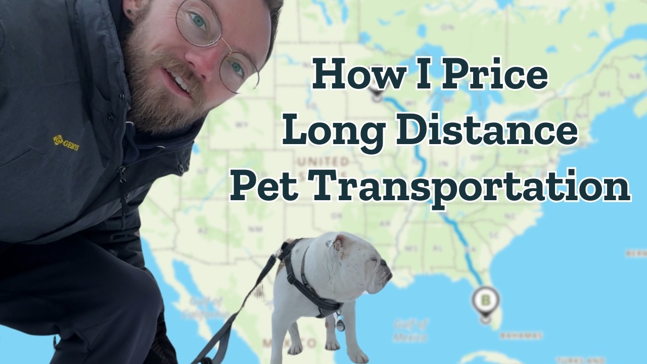 How Much Does Long Distance Pet Transportation Cost? | Private Pet Transport