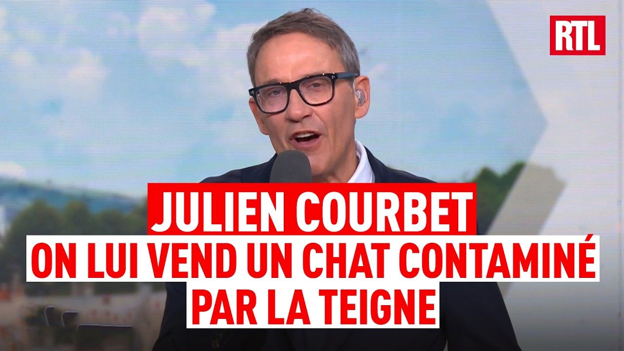 Julien Courbet : elle achète un chat infecté par la teigne, il contamine son chien