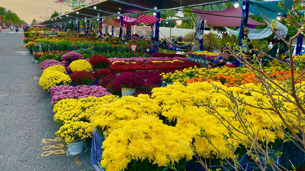 ￼￼Chợ hoa 2026 cần thơ
