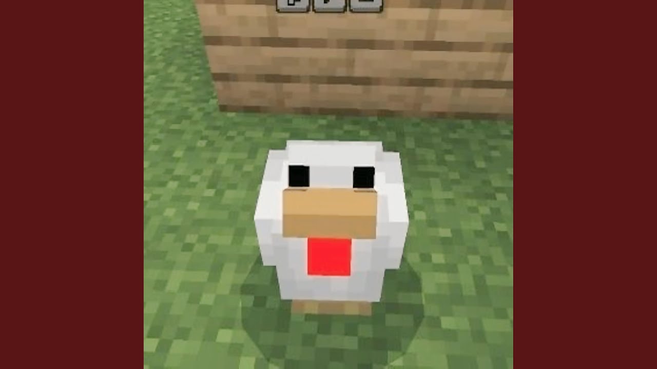 Chickens From Minecraft