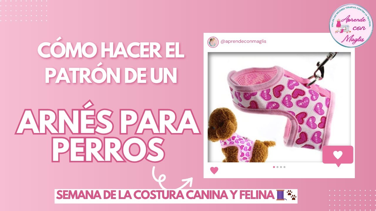 Quieres crear el Patrón Perfecto de Arnes para Perros y Gatos? Míralo Ahora