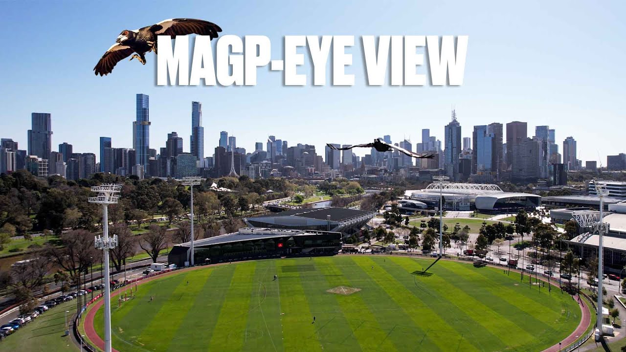 Watch Collingwood training with a Birds Eye view 🚁