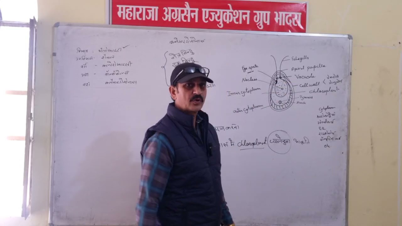 B.sc B.Ed 1st year BOTANY 17.02.26
