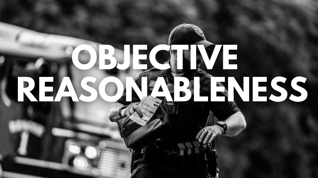 Uncovering The Truth Behind Police Procedures: Graham V. Conor