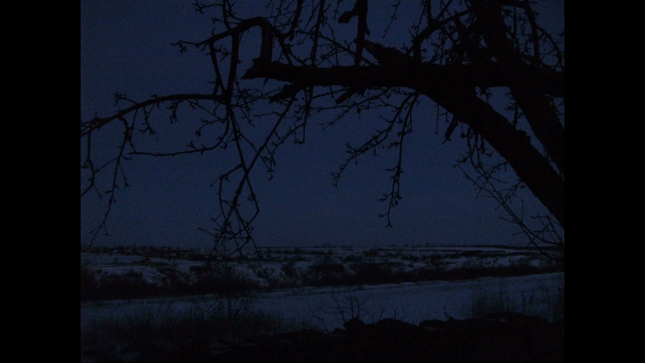 No Man's Land - Плачь