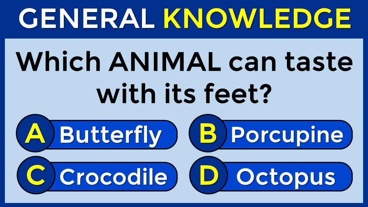 How Good Is Your General Knowledge? Take This 50-question Quiz To Find Out! #challenge 24