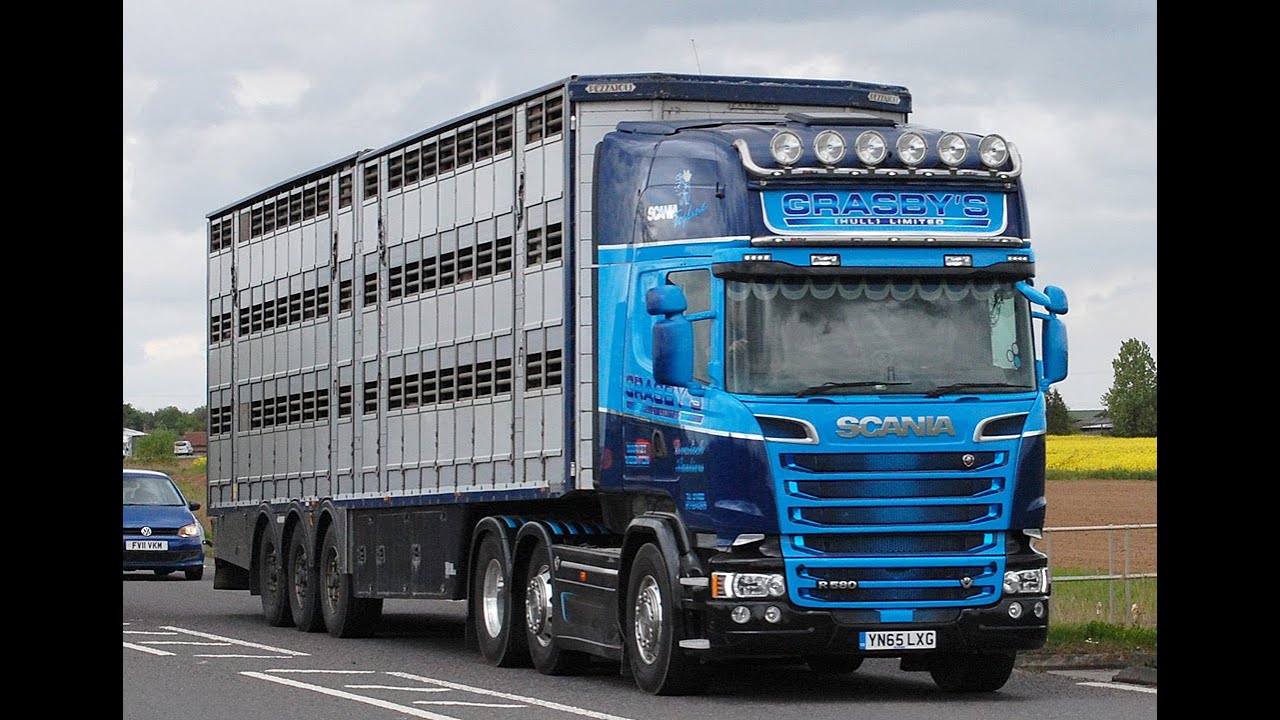 GRASBYS OF HULL LIMITED LIVESTOCK HAULAGE