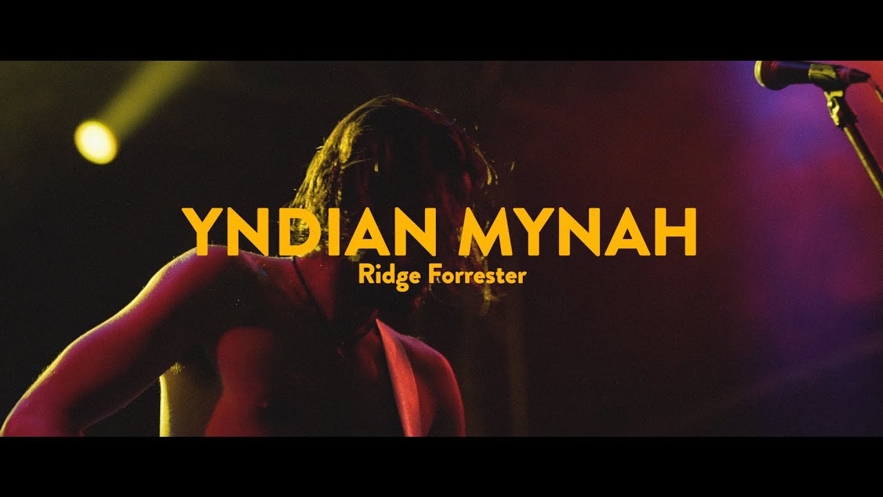 Yndian Mynah 
