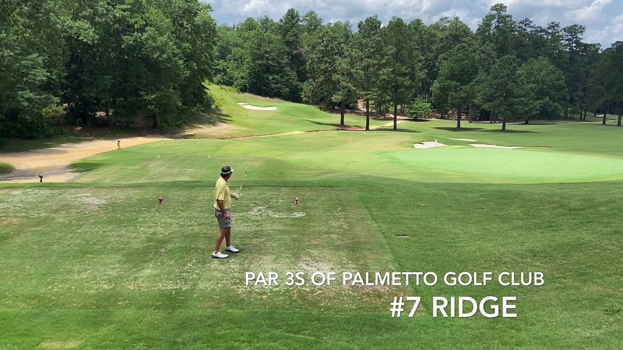 Palmetto Golf Club - Great Par 3s