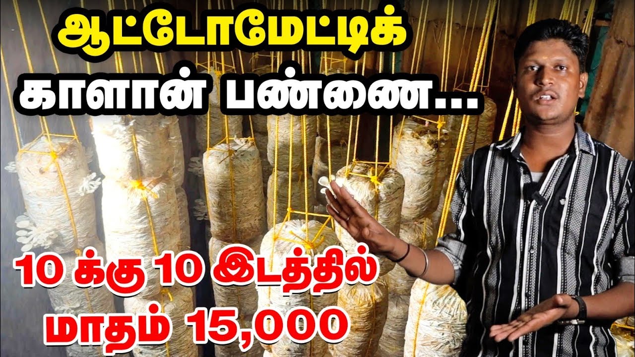 சிப்பி காளான்... 10 க்கு 10 இடம் போதும் மாதம் 15,000...  அசத்தும் இன்ஜினீயர் | Oyster Mushroom