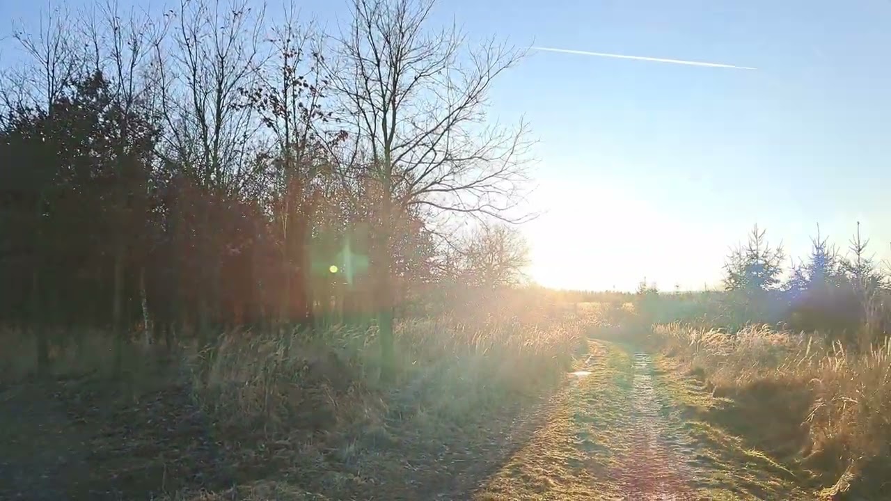 Walking during sunset