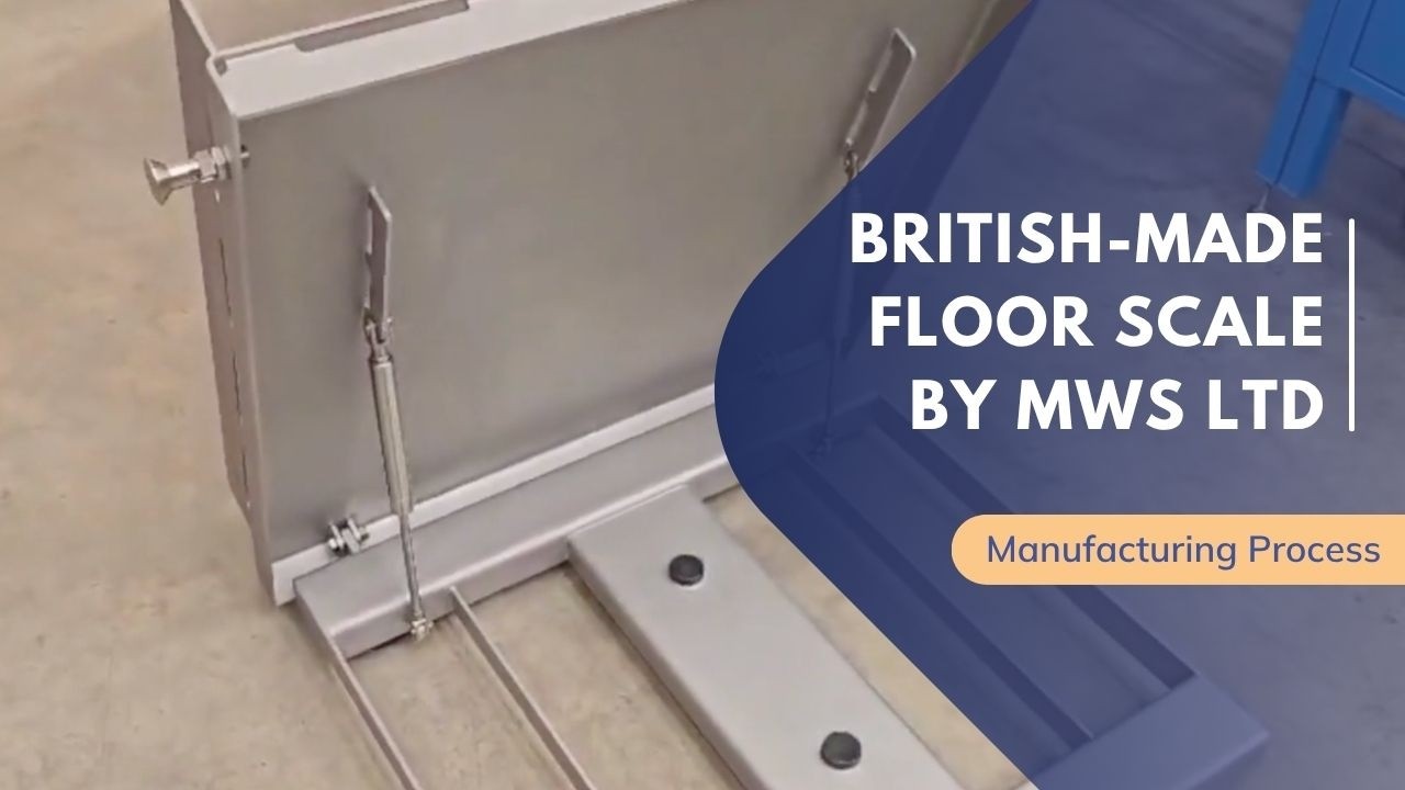 Bespoke British-made floor scale designed for the food industry