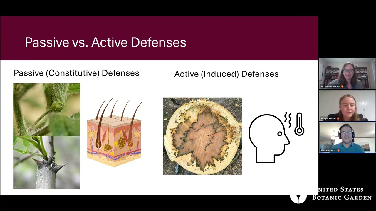 Research Lab Look In: Plant Defenses and Competition Strategies