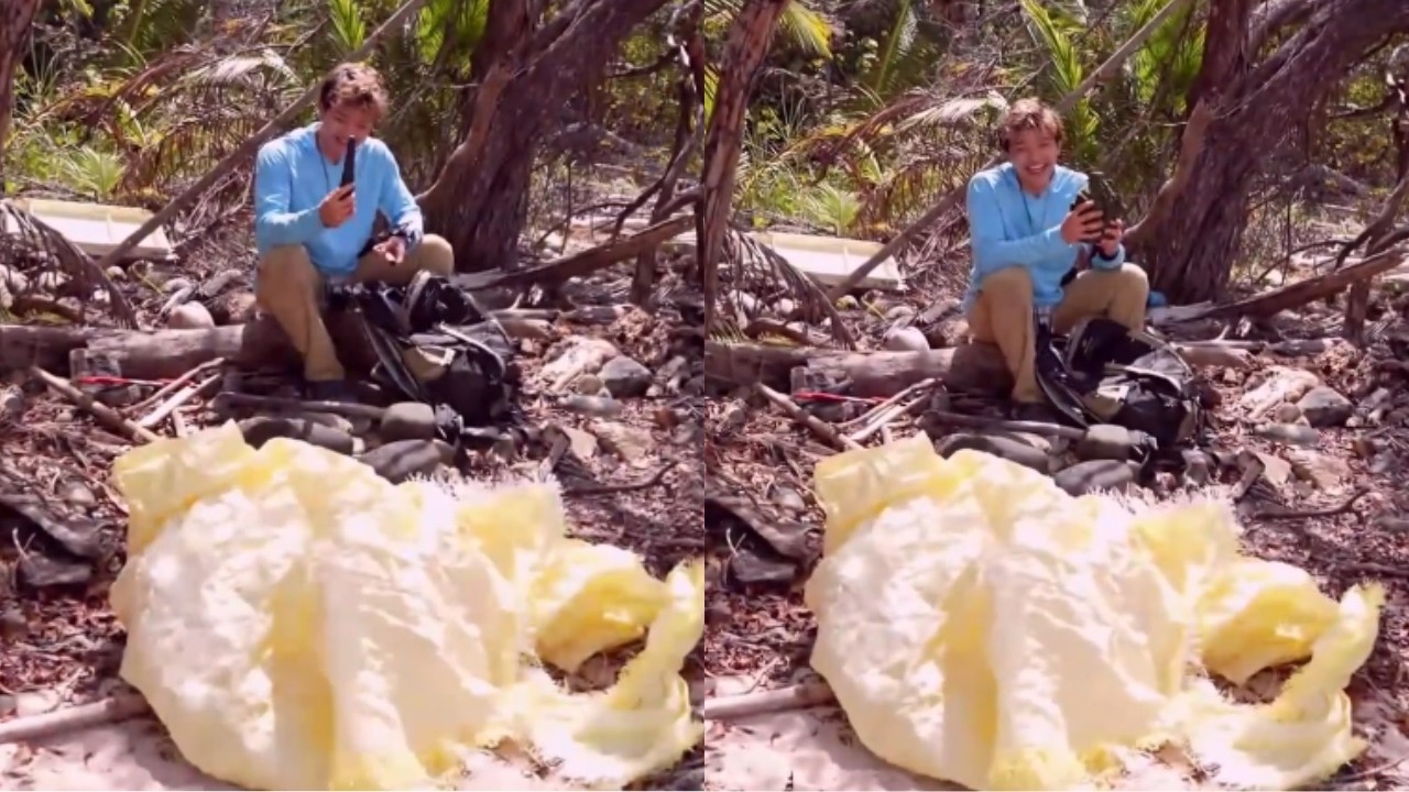 Jason Reveals His Tools For Stranded On An Island Stream!