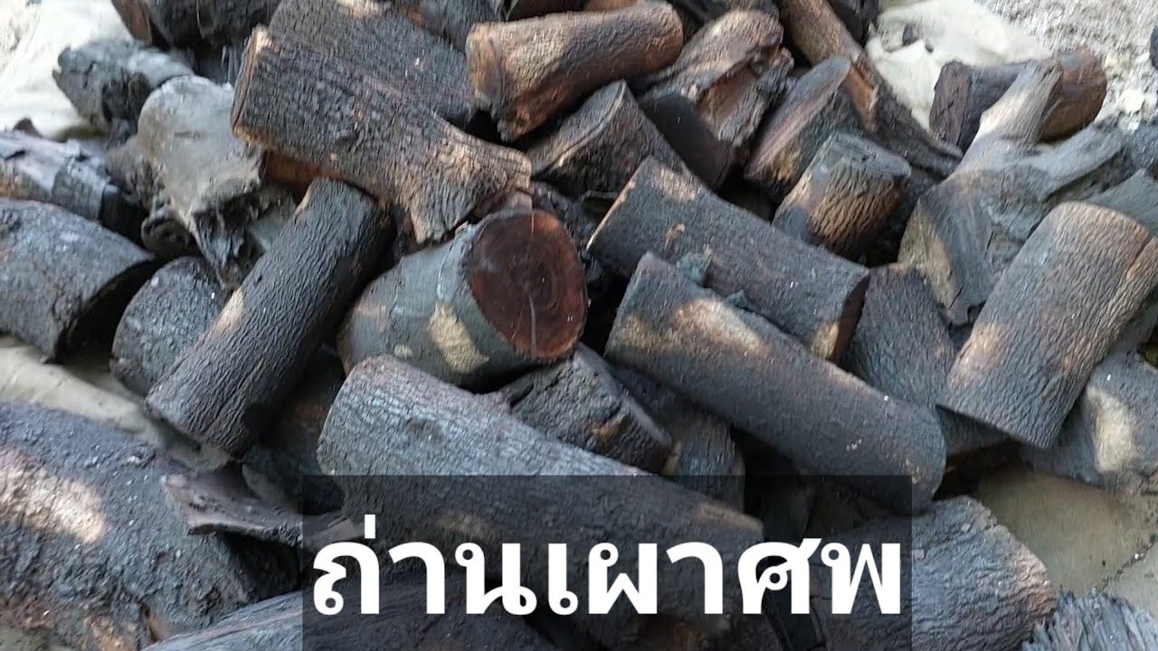 เผาถ่านขายวันละ 1,000 บาท [EP:79] ถ่านเผาศพ JACK FATHER MAN