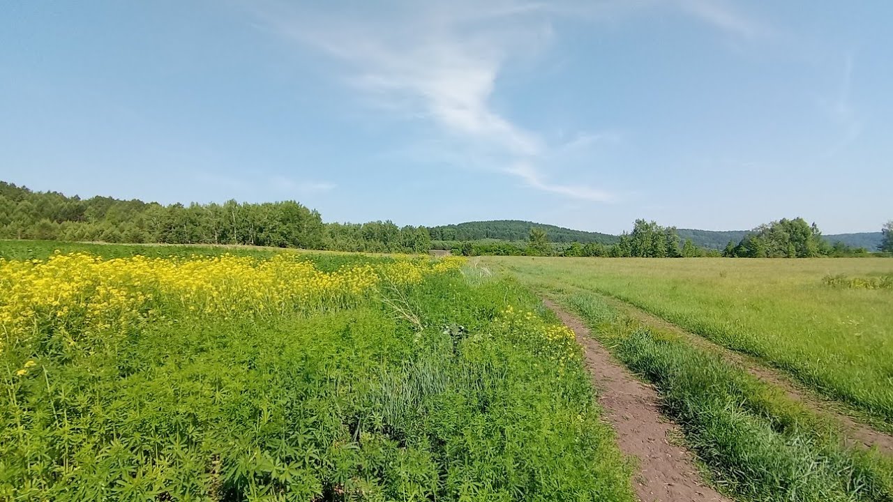 Лето в Мишелёвке (муз. Beach house - space song) 