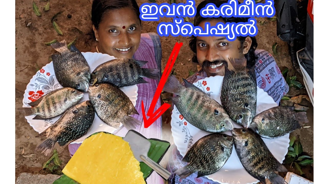 കരിമീന്റെ വായിൽ കപ്പലോടും തീറ്റ | #special feed for pearlspot fishing | karemeen | fishing malayalam