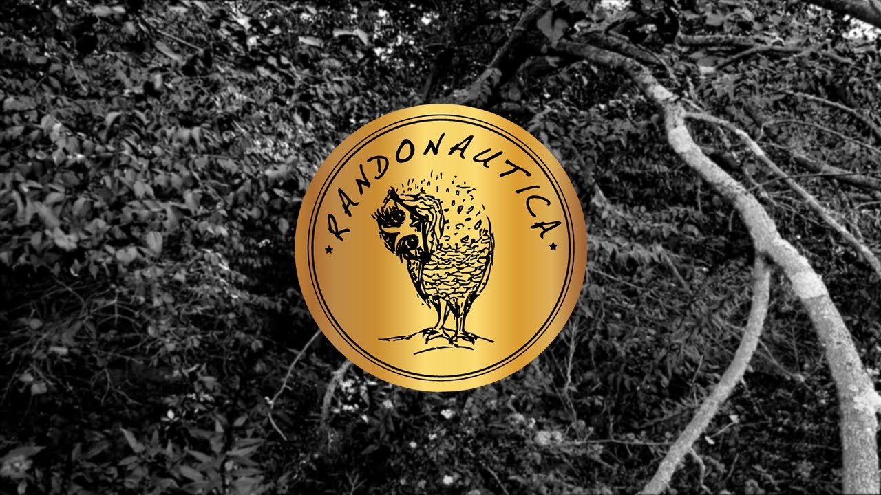 What Is Randonautica?