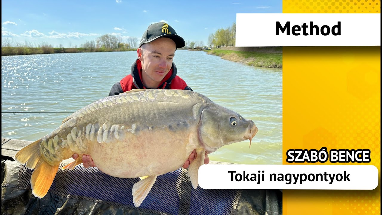 Nagypontyok Tokajból - Szabó Bence