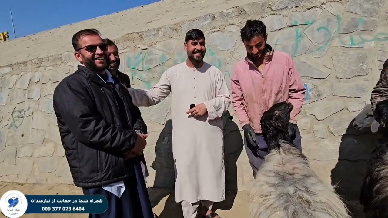 توزيع گوشت گوسفند و نان خشک برای هموطنان 