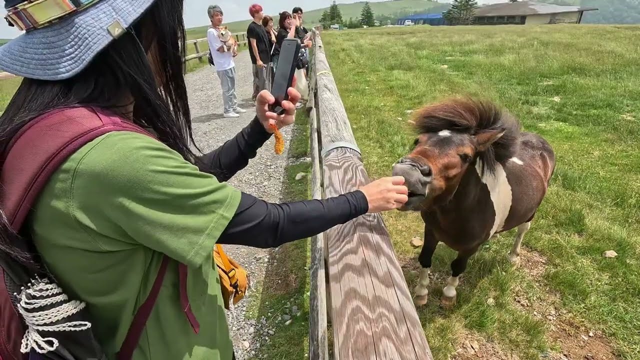 2025/07/05 避暑地を探して美ヶ原散策