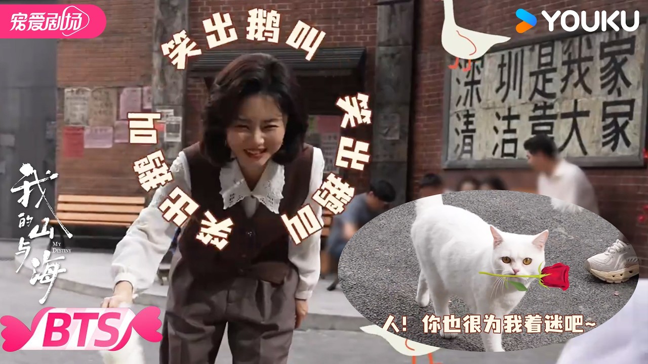 【BTS】🤩方婉之“吸猫”现场😻这谁能忍住不rua啊！ | 我的山与海 MY DESTINY | 谭松韵 / 董晴 | 优酷宠爱频道 YOUKU ROMANCE