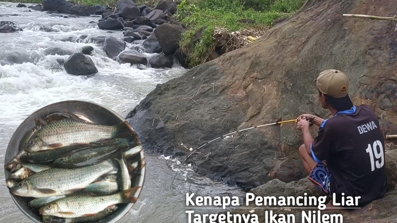 mancing ikan nilem itu emang seru tarikannya