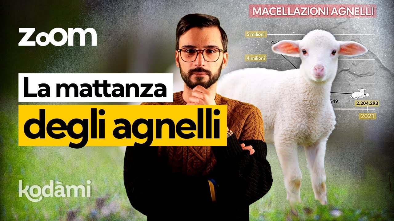 Perché mangiamo l'agnello a Pasqua e perché dovremmo smettere di farlo