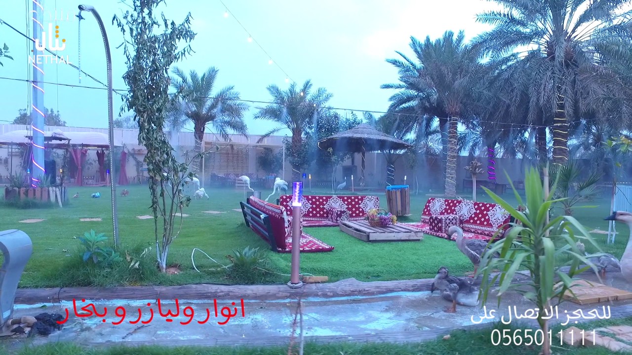 منتجع نثال ببريدة