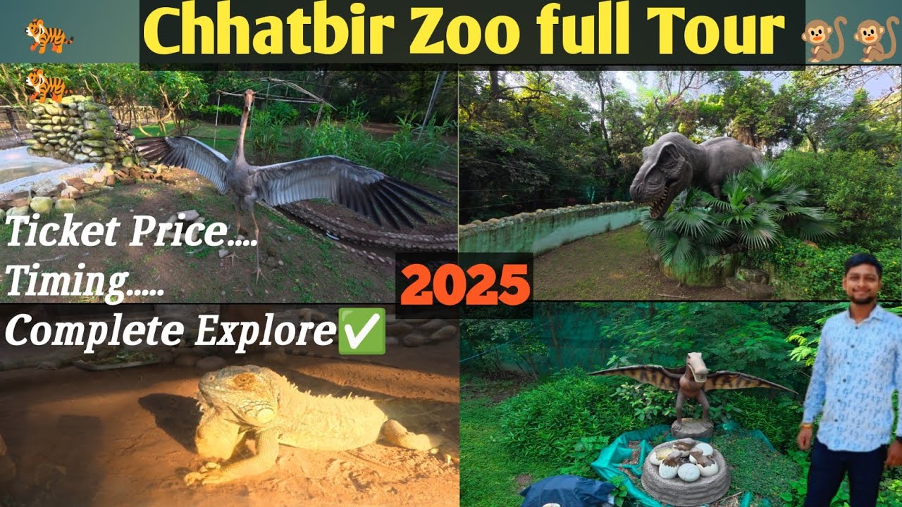 Chhatbir zoo in chandigarh | chatbir zoo chandigarh zoo ticket price 2025 | Full Vlog