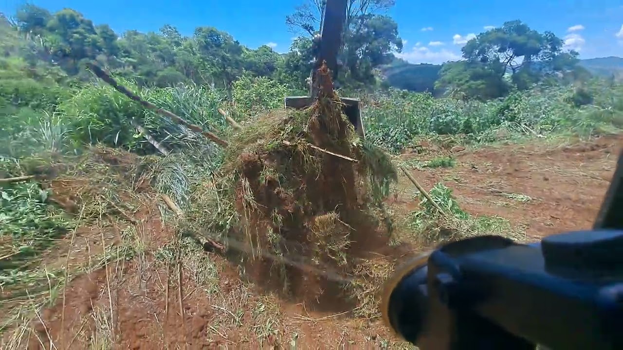 Escavadeira fazendo limpeza para sulcar....