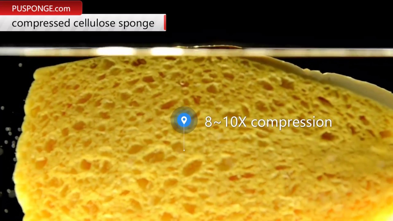 Amazing compressed cellulose sponge