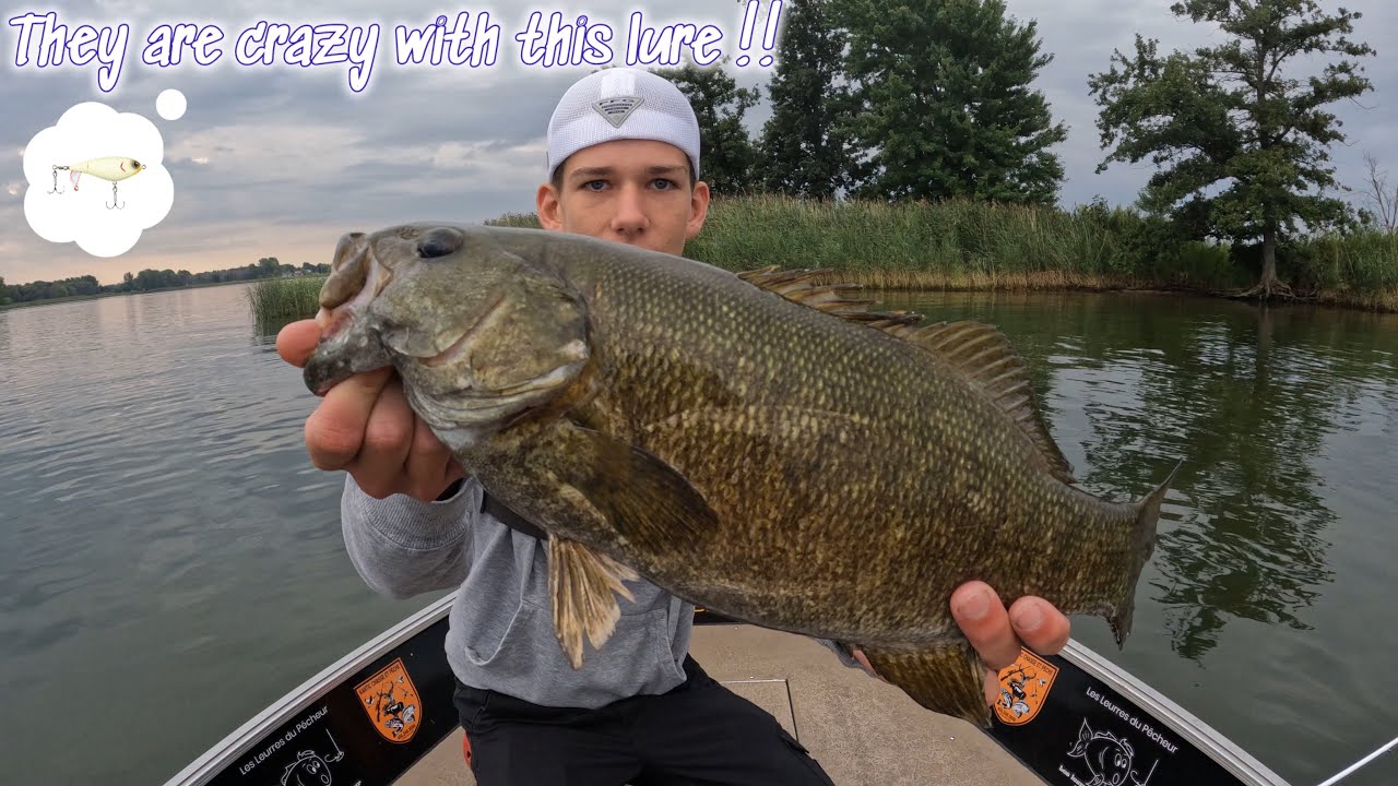 J’adore ce leurre… ( lac st Louis,choppo,smallmouth)