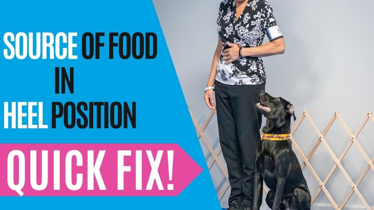 quickfixlocationfoodheel