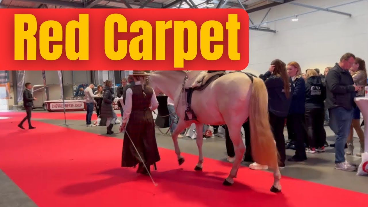 Red Carpet - Cheval Liberte 🔥