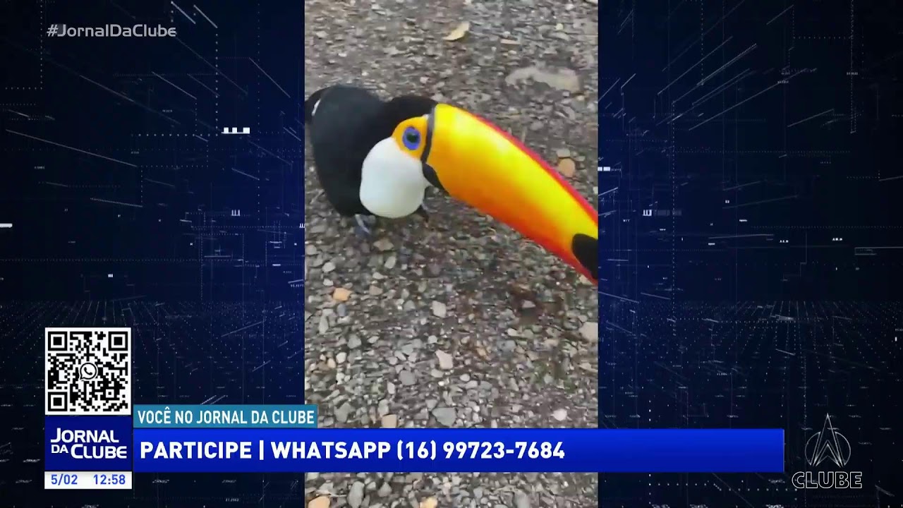 Jornal da Clube 1ª Edição (05/02/2026)