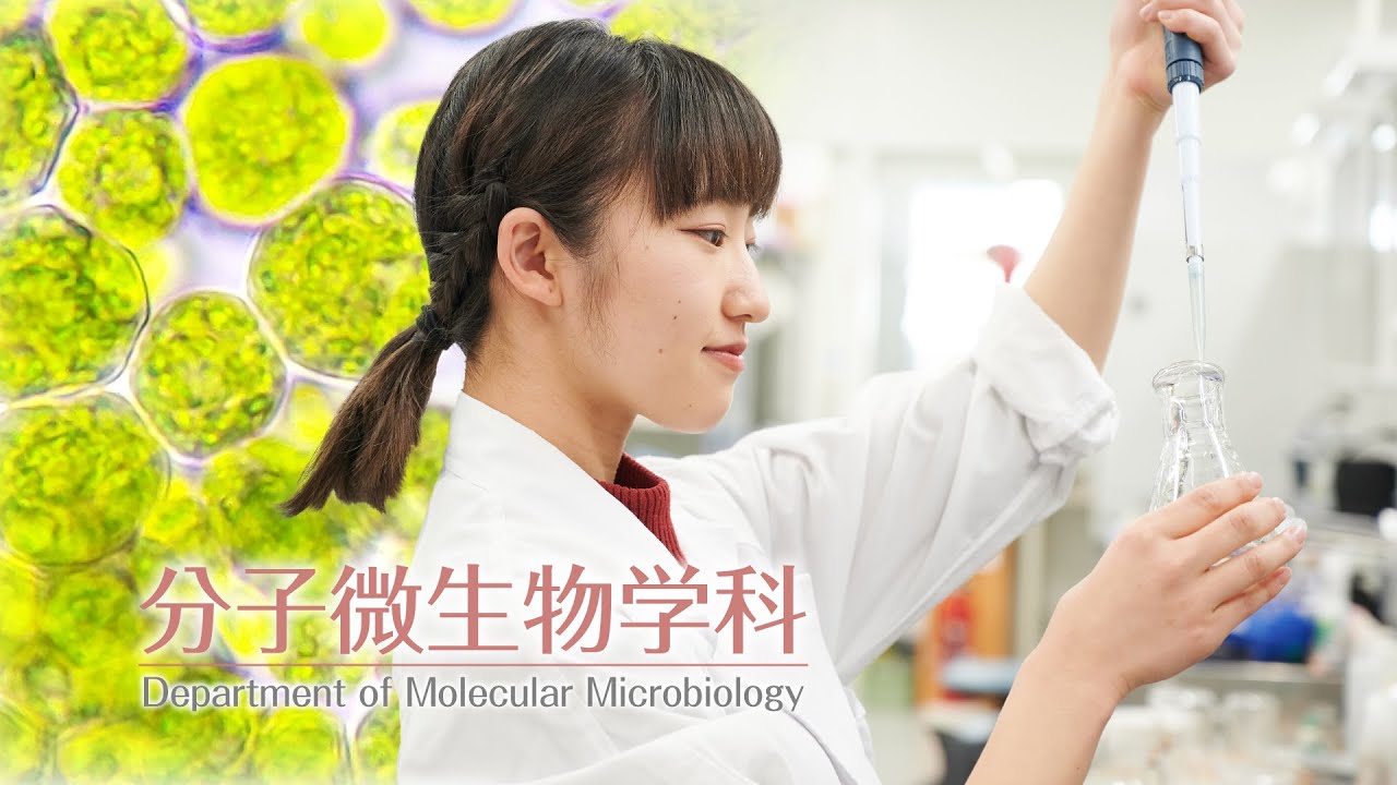 【分子微生物学科】未来は見えないものの中に【東京農業大学】