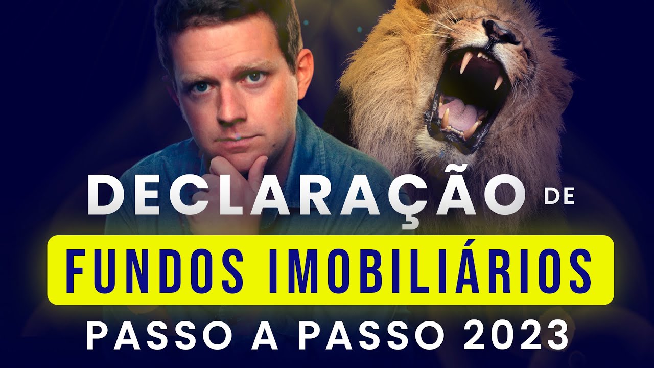 IMPOSTO DE RENDA: como DECLARAR seus FUNDOS IMOBILIÁRIOS?