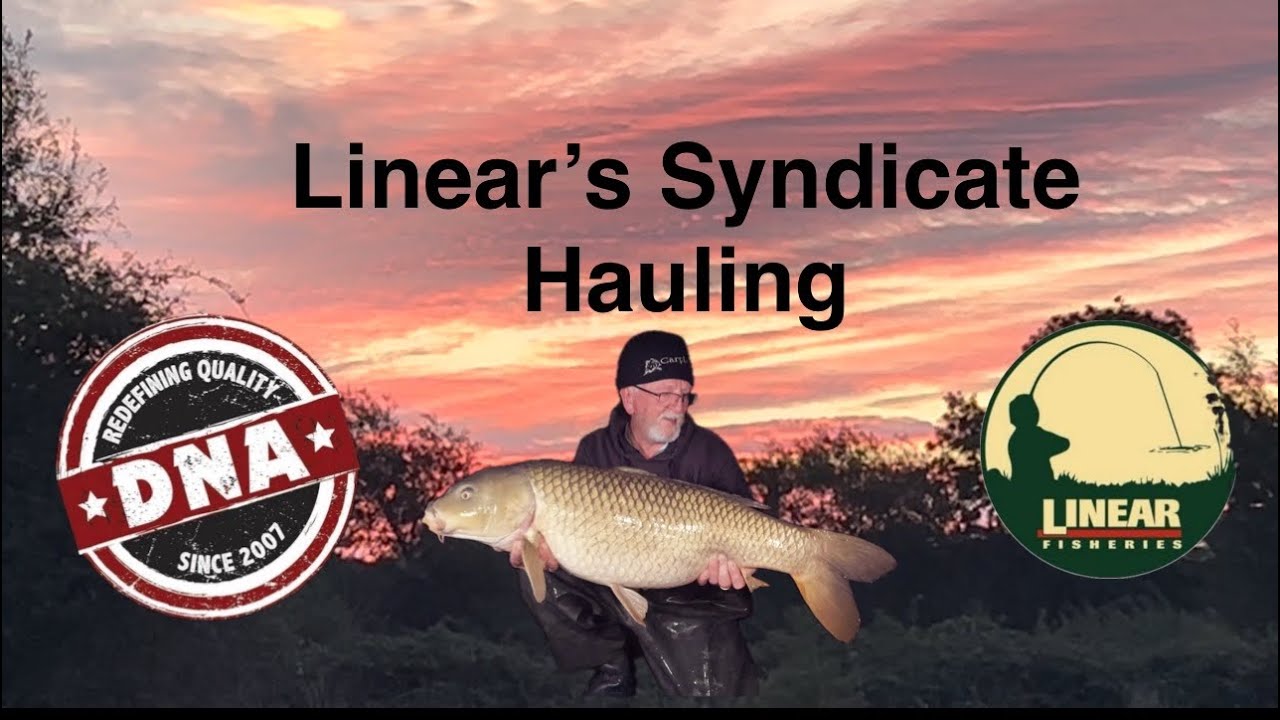 Видеоблог 38: Nine Carp расправились с бандой парней из Linear.