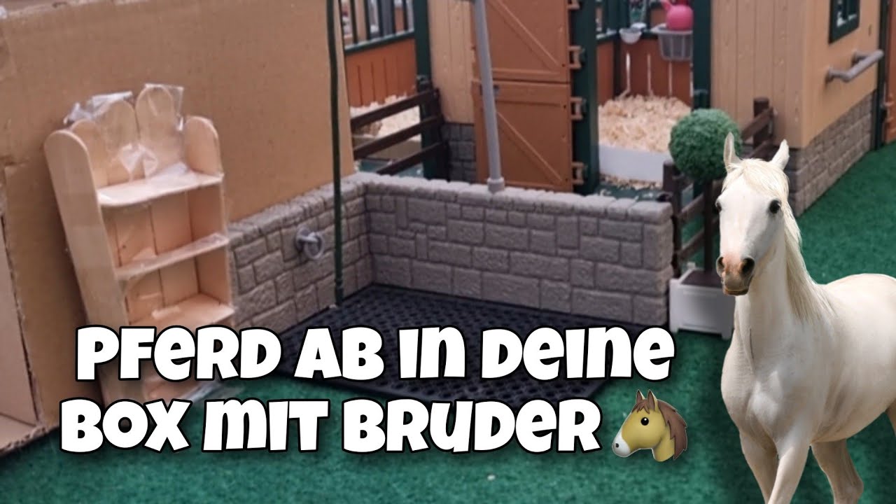 Pferd ab in deine Box mit meinem Bruder🐴💗