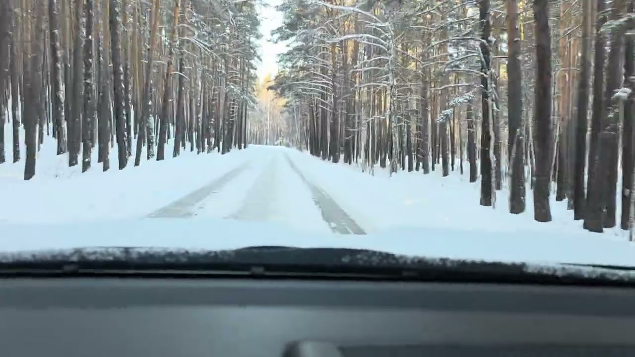 Разговор под красивый вид