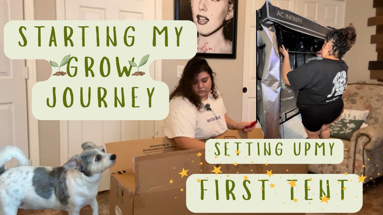 Come Set Up My First Grow Tent With Me 🌿