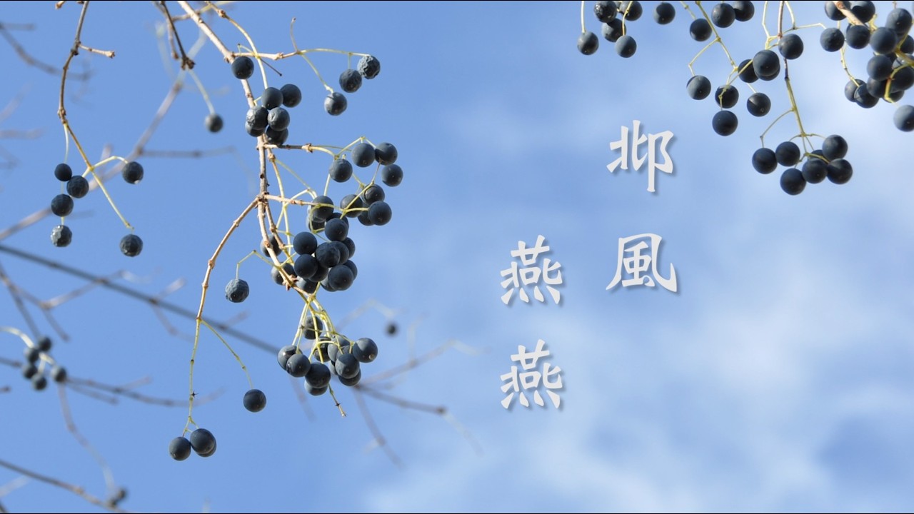 邶風。燕燕