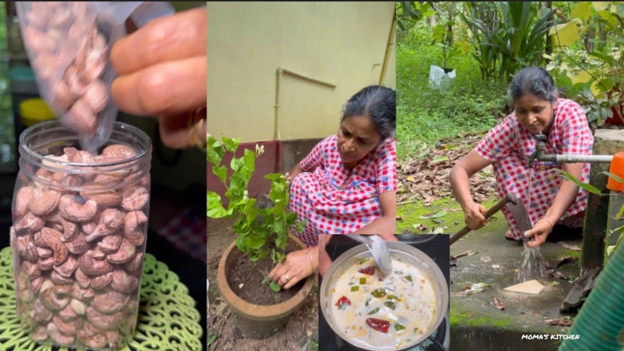 നമുക്ക് പ്രിയപ്പെട്ട സാധനംനമ്മുടെ പ്രിയപ്പെട്ടആൾ😍അപ്രതീക്ഷിത സമ്മാനമായിനൽകുമ്പോൾ🎁കുറച്ച് വിശേഷങ്ങളും